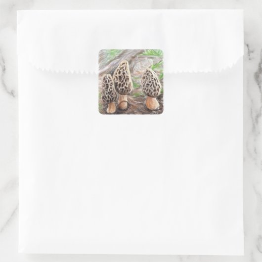 Morel Mushroom Stickers (Tas)