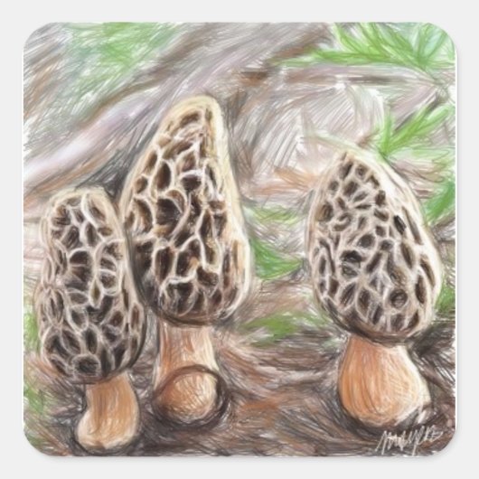 Morel Mushroom Stickers (Voorkant)