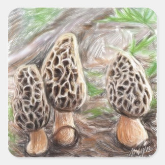 Morel Mushroom Stickers