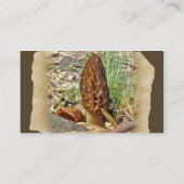 Morel Mushroom Visitekaartje (Achterkant)