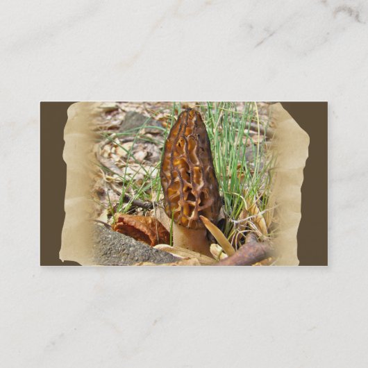 Morel Mushroom Visitekaartje (Achterkant)