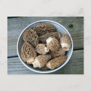 Morel Mushrooms Birthday Briefkaart