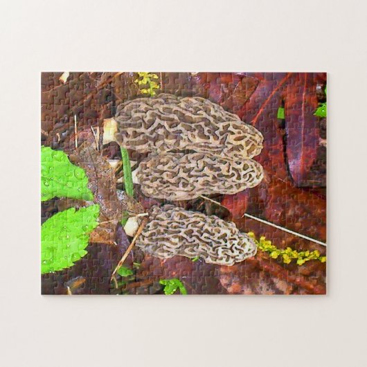 Morel Mushrooms Legpuzzel (Horizontaal)