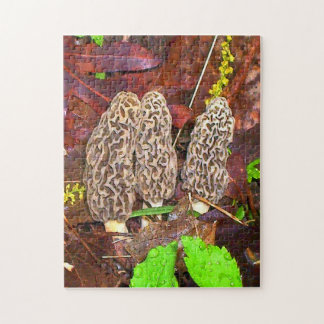 Morel Mushrooms Legpuzzel