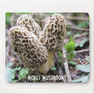 Morel Mushrooms Mousepad Muismat