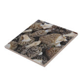 Morel Mushrooms Tegeltje (Zijkant)