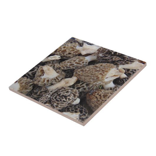 Morel Mushrooms Tegeltje (Zijkant)