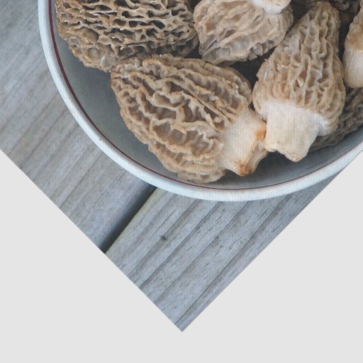 Morel Mushrooms Tissuepapier (Detail)