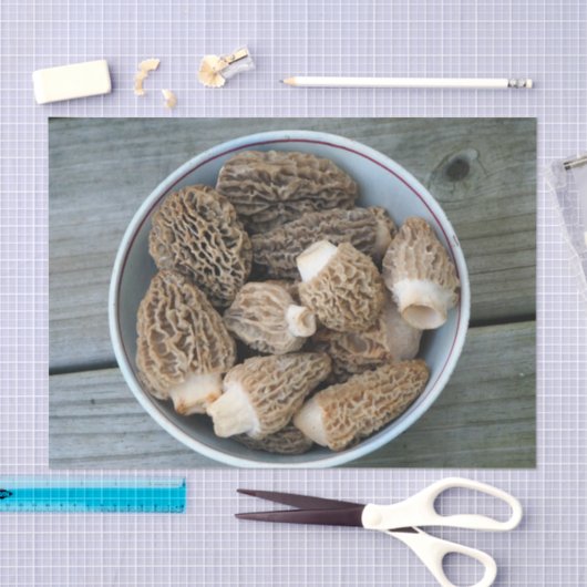 Morel Mushrooms Tissuepapier (Craft)