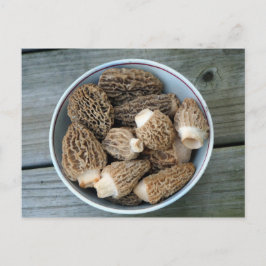 Morel Mushrooms Verjaardag Briefkaart