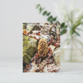 Morel paddenstoel in het wild briefkaart (Staand voorkant)