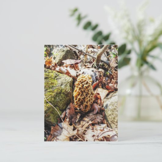 Morel paddenstoel in het wild briefkaart (Staand voorkant)