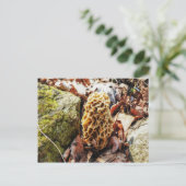 Morel paddenstoel in het wild briefkaart (Staand voorkant)