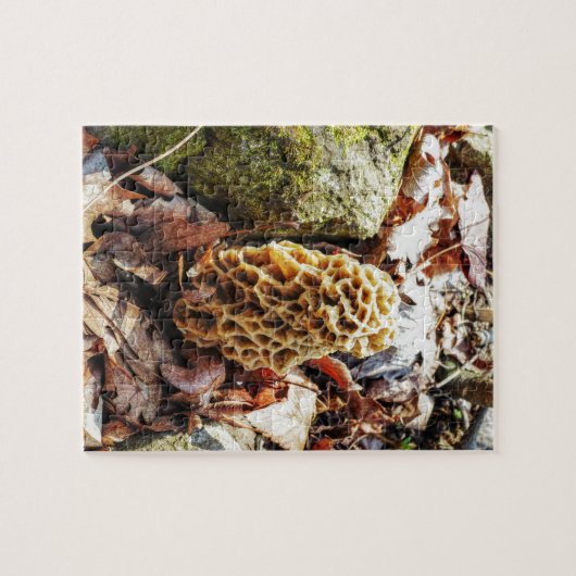 Morel paddenstoel in het wild legpuzzel (Horizontaal)