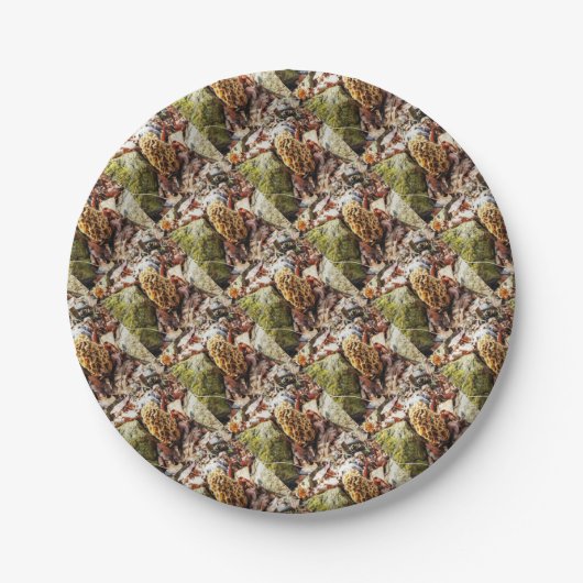 Morel paddenstoel in het wild papieren bordje (Voorkant)