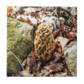Morel paddenstoel in het wild tegeltje (Voorkant)