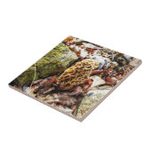 Morel paddenstoel in het wild tegeltje (Zijkant)
