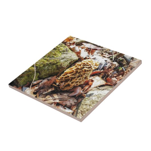 Morel paddenstoel in het wild tegeltje (Zijkant)