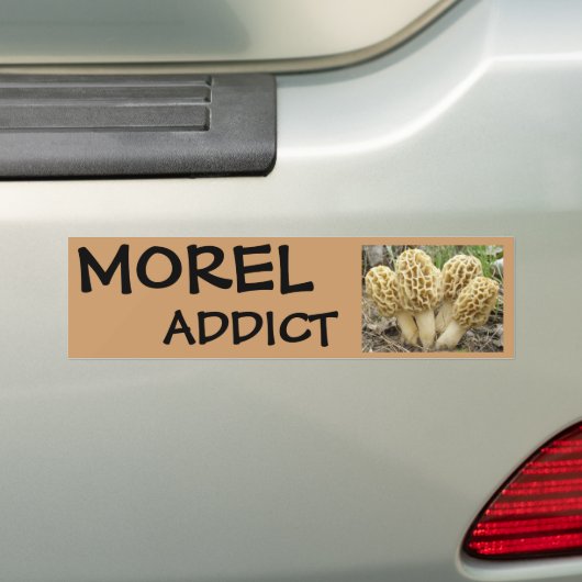 Morel paddenstoelen bumpersticker (Op auto)
