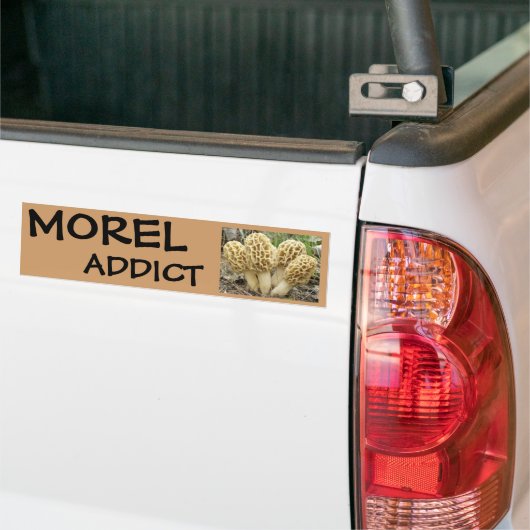 Morel paddenstoelen bumpersticker (Op Truck)