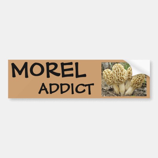 Morel paddenstoelen bumpersticker (Voorkant)
