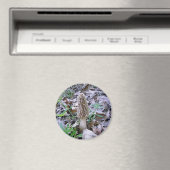 Morel paddenstoelmagneet magneet (Insitu (Vaatwasser))
