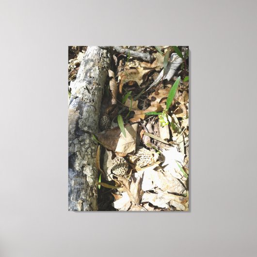 Morel Patch op canvas (Voorkant)