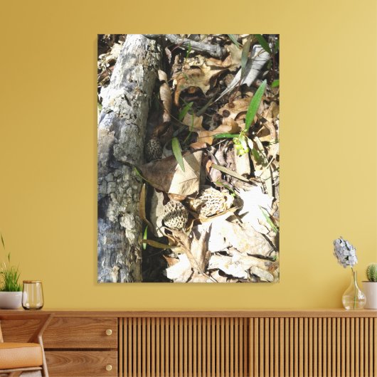 Morel Patch op canvas (Insitu (Woonkamer))