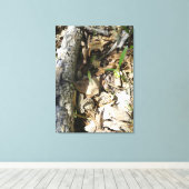 Morel Patch op canvas Afdruk (Insitu (Houten vloer))