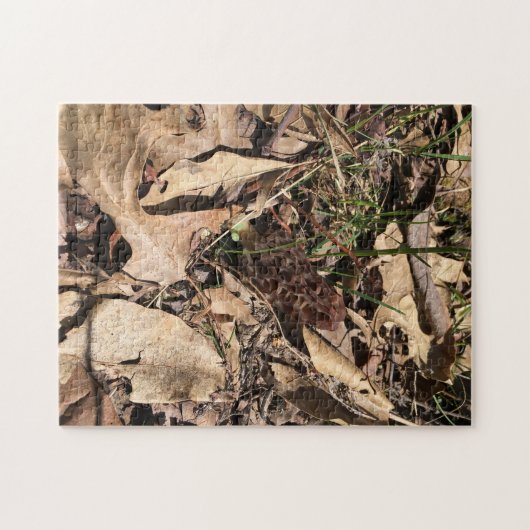 Morel Puzzel (Horizontaal)