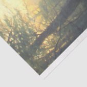 Morel Schimmel Paddenstoelen Illustratie Decoupage Tissuepapier (Detail)