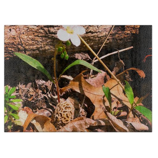 Morel Snijplank (Voorkant)