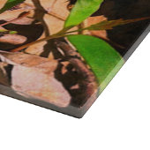 Morel Snijplank (Hoek)