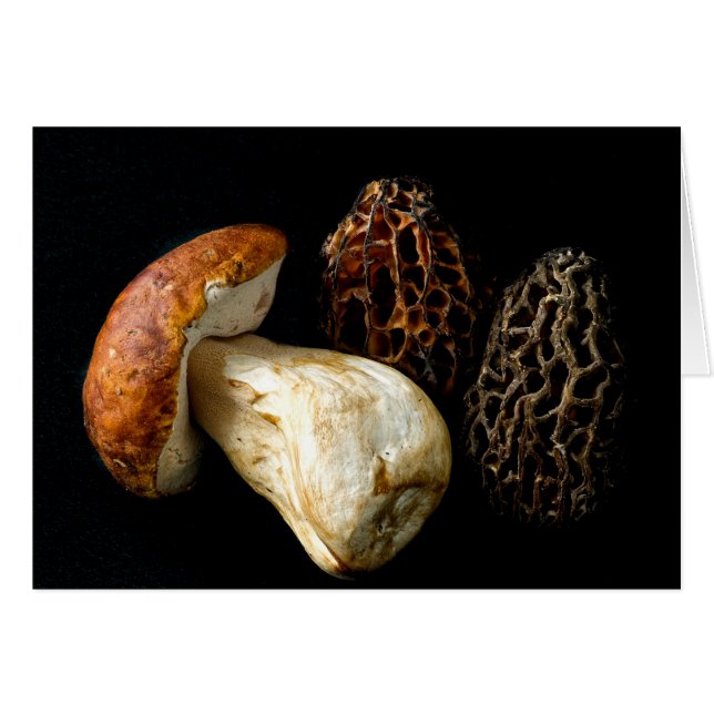 Morels en King Bolete (Voorkant Horizontaal)