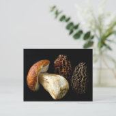 Morels en King Bolete Briefkaart (Staand voorkant)