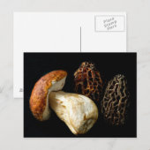 Morels en King Bolete Briefkaart (Voorkant / Achterkant)