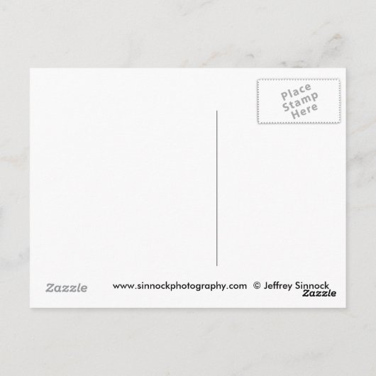 Morels en King Bolete Briefkaart (Achterkant)