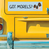 Morels Mushrooms Fun Fungi DOCUSTOMIZE IT Bumpersticker