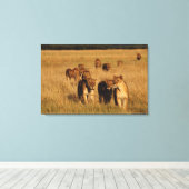 Moremi Wildlife Reserve, Botswana Canvas Afdruk (Insitu (Houten vloer))