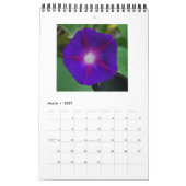 MORENDE GEWELDSCHAPPEN KALENDER (Mar 2027)