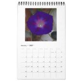 MORENDE GEWELDSCHAPPEN KALENDER (Jan 2027)