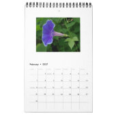 MORENDE GEWELDSCHAPPEN KALENDER (Feb 2027)