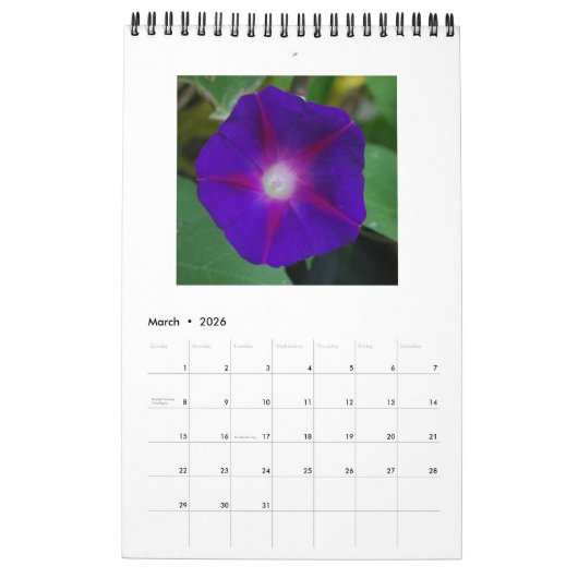 MORENDE GEWELDSCHAPPEN KALENDER (Mar 2026)