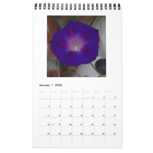 MORENDE GEWELDSCHAPPEN KALENDER (Jan 2026)