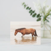 Morende zwemtocht voor een paard briefkaart (Staand voorkant)