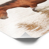 Morende zwemtocht voor een paard foto afdruk (Hoek)