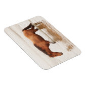 Morende zwemtocht voor een paard magneet (Rechterzijde)