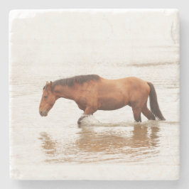 Morende zwemtocht voor een paard stenen onderzetter