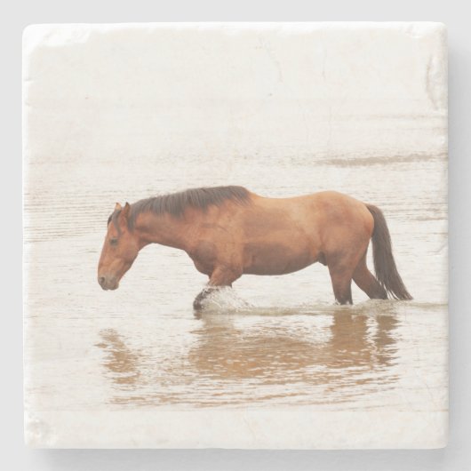 Morende zwemtocht voor een paard stenen onderzetter (Voorkant)