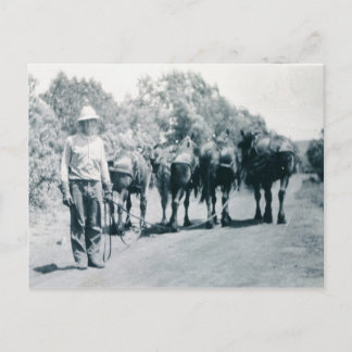 Morenwerk Briefkaart